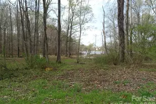 453 Riverview Ln, Lexington, NC 27292 - Photo 23