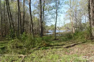 453 Riverview Ln, Lexington, NC 27292 - Photo 21