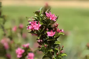 635 E Sanders Rd, Shelby, NC 28150 - Photo 39