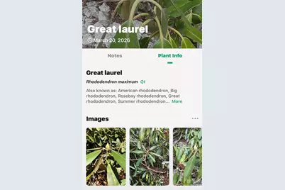 Tbd Red Bird Road, Spruce Pine, NC 28777 - Photo 13