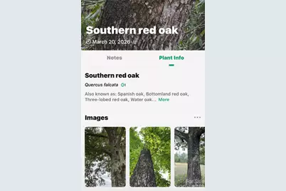 Tbd Red Bird Road, Spruce Pine, NC 28777 - Photo 15