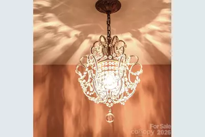 102 Fish Hawk Drive, Hendersonville, NC 28739 - Photo 29