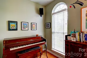 10207 Rougemont Ln, Charlotte, NC 28277 - Photo 29