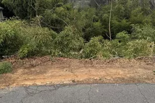 30 Belleair Rd, Asheville, NC 28806 - Photo 1