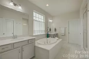 17204 Saranita Ln, Charlotte, NC 28278 - Photo 31