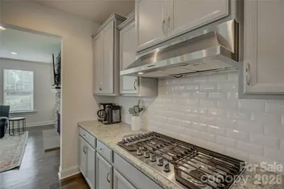 17204 Saranita Lane, Charlotte, NC 28278 - Photo 11