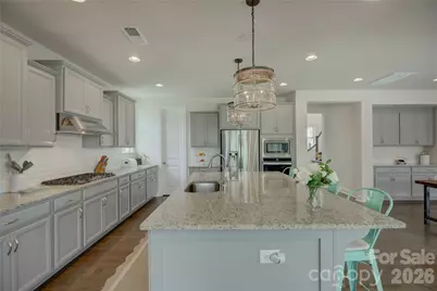 17204 Saranita Lane, Charlotte, NC 28278 - Photo 9