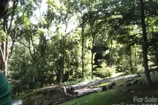 446 Windridge Dr, Sugar Grove, NC 28679 - Photo 37