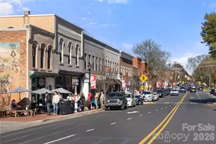 11916 Westbranch Pkwy, Davidson, NC 28036 - Photo 43