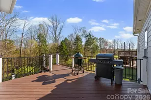 18812 Avery Park Dr, Cornelius, NC 28031 - Photo 39