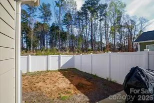 8156 Merryvale Ln, Charlotte, NC 28214 - Photo 29