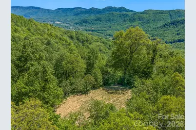 488 Warbler Lane, Black Mountain, NC 28711 - Photo 15