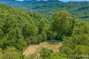 488 Warbler Ln, Black Mountain, NC 28711 - Photo 15