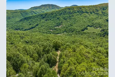 488 Warbler Lane, Black Mountain, NC 28711 - Photo 17