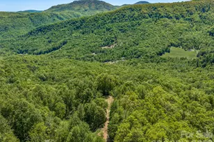 488 Warbler Ln, Black Mountain, NC 28711 - Photo 17