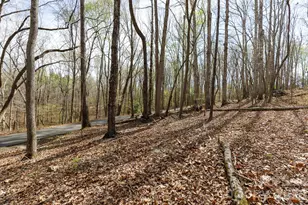 1108 King Rd, York, SC 29745 - Photo 37