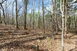 1108 King Rd, York, SC 29745 - Photo 37