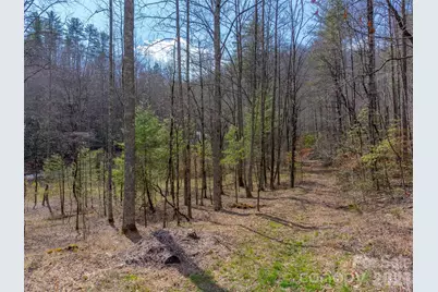 47.52 Ac Little Snowbird Road, Robbinsville, NC 28771 - Photo 1