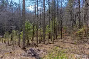 47 52 Ac Little Snowbird Rd, Robbinsville, NC 28771 - Photo 1