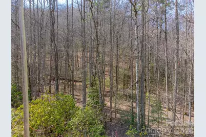 47.52 Ac Little Snowbird Road, Robbinsville, NC 28771 - Photo 9