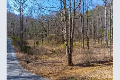 47.52 Ac Little Snowbird Road, Robbinsville, NC 28771 - Photo 5