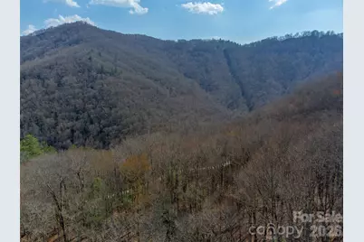 47.52 Ac Little Snowbird Road, Robbinsville, NC 28771 - Photo 27