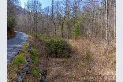 47.52 Ac Little Snowbird Road, Robbinsville, NC 28771 - Photo 7