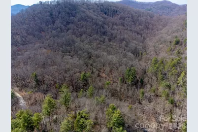 47.52 Ac Little Snowbird Road, Robbinsville, NC 28771 - Photo 23