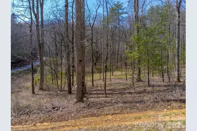 47.52 Ac Little Snowbird Road, Robbinsville, NC 28771 - Photo 3