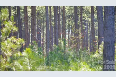 00 Bobby Faucette Road #4, Jonesville, SC 29353 - Photo 9