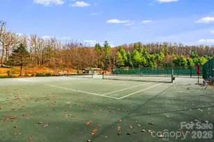 14 Isuhdavga Ct, Brevard, NC 28712 - Photo 37