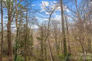 355 Sunset Dr, Asheville, NC 28804 - Photo 27