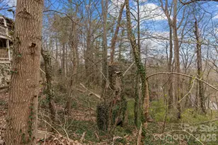 355 Sunset Dr, Asheville, NC 28804 - Photo 41