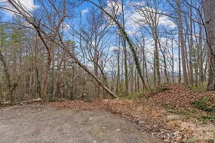 355 Sunset Dr, Asheville, NC 28804 - Photo 5