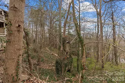 355 Sunset Drive, Asheville, NC 28804 - Photo 37