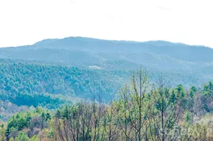 Lot 59 (7C) Cielo Dr, Purlear, NC 28665 - Photo 1