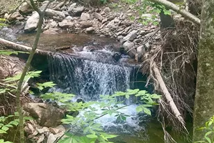 11820 State Hwy 197 None S, Burnsville, NC 28714 - Photo 43