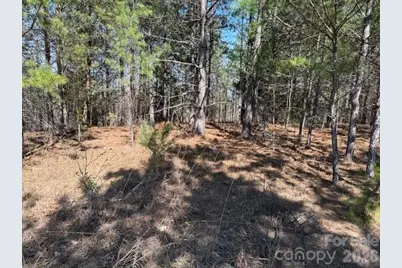 00 Hope Drive, Rutherfordton, NC 28139 - Photo 3