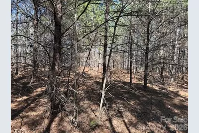 00 Hope Drive, Rutherfordton, NC 28139 - Photo 7