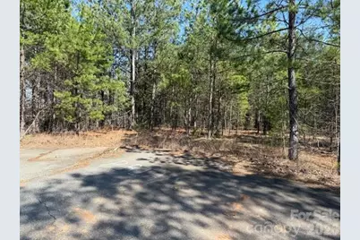 00 Hope Drive, Rutherfordton, NC 28139 - Photo 1