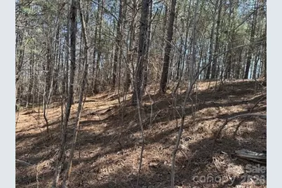 00 Hope Drive, Rutherfordton, NC 28139 - Photo 11