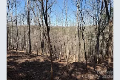 00 Hope Drive, Rutherfordton, NC 28139 - Photo 9