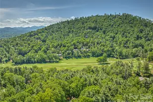 200 Robinhood Rd, Asheville, NC 28804 - Photo 43