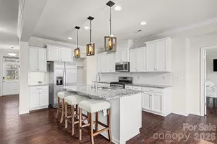 15234 Red Canoe Way, Charlotte, NC 28278 - Photo 3