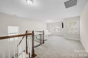 15234 Red Canoe Way, Charlotte, NC 28278 - Photo 29