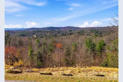 367 Curtain Bluff, Hendersonville, NC 28791 - Photo 9