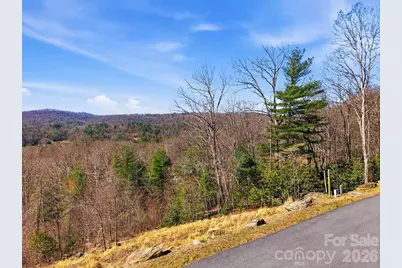 367 Curtain Bluff, Hendersonville, NC 28791 - Photo 11