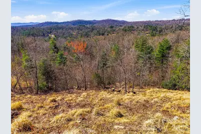 367 Curtain Bluff, Hendersonville, NC 28791 - Photo 13