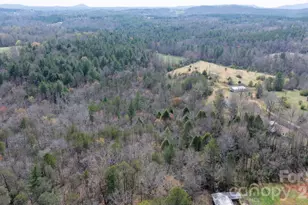 5624 R & R Farm Rd, Connelly Springs, NC 28612 - Photo 31