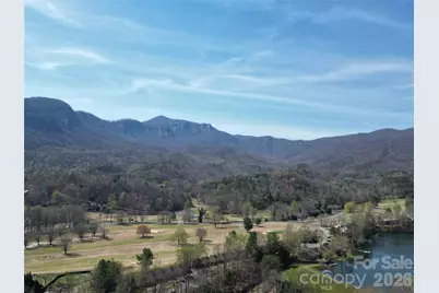 145 White Pine Drive, Lake Lure, NC 28746 - Photo 3